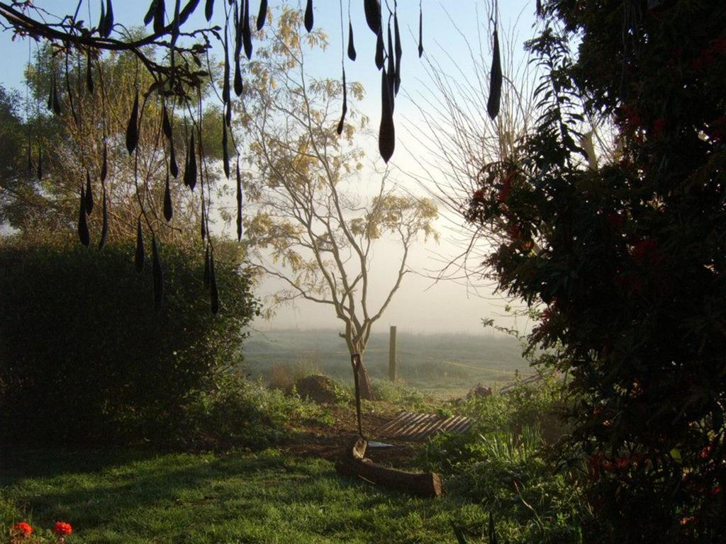 Plovers Ridge Country Retreat Villa Lilydale Rum bild